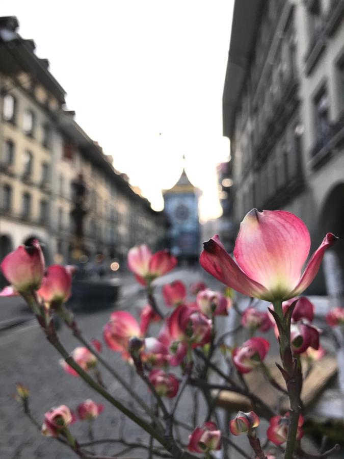 Historical, Bright & Beautiful In Old City - 3Rd Floor Bern Bagian luar foto